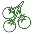 /assets/img/cherry.png